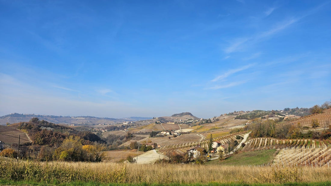 El vino siempre es impredecible