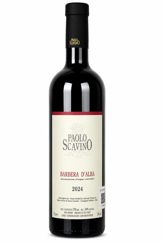 Paolo Scavino Barbera d’Alba 2024