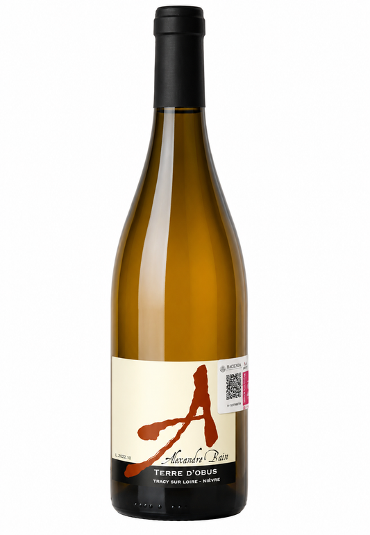 Alexandre Bain Terre d´Obus 2022