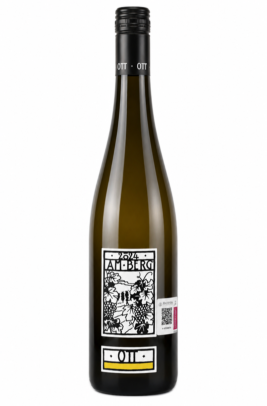 Weingut Bernhard Ott Am Berg 2024